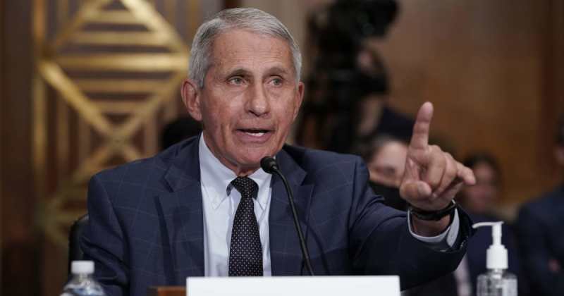 Senate panel holds Fauci in contempt of Congress for refusing to answer questions