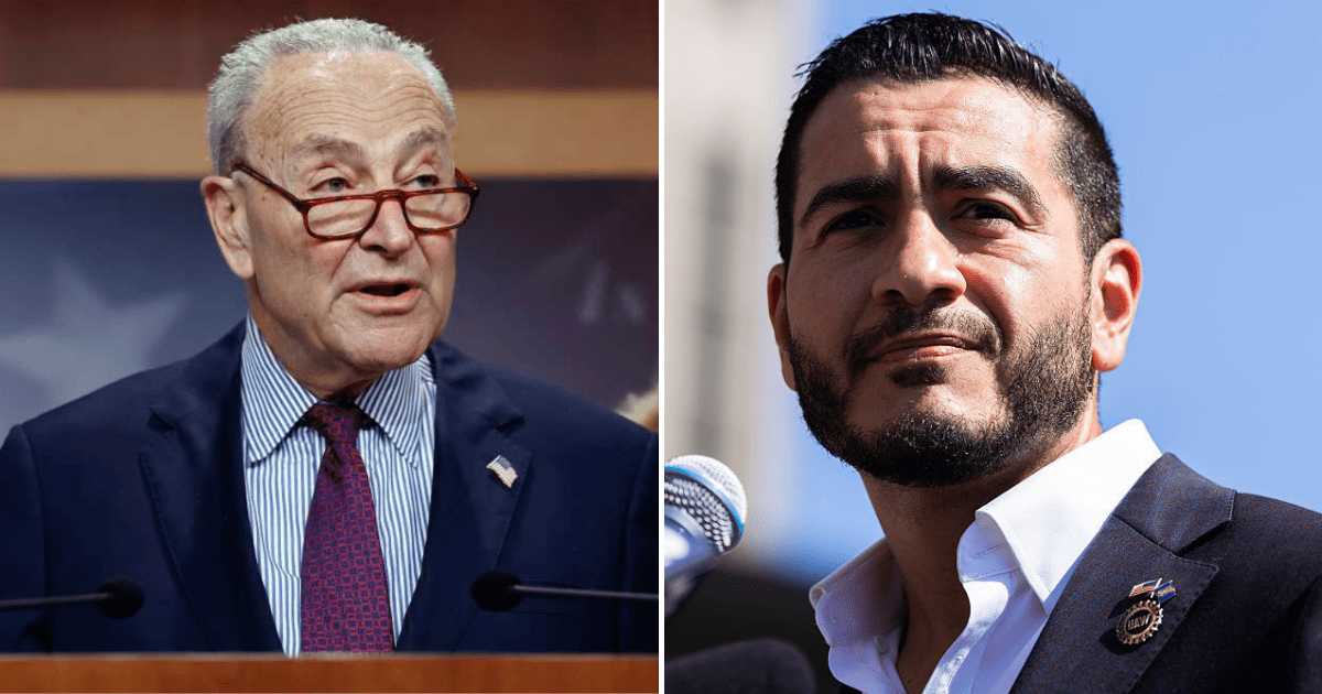 After the primary, Chuck Schumer said he had a positive conversation with Abdul El-Sayed and argued the Democratic Party's 'big tent' approach is a strength, not a weakness (Getty Images)