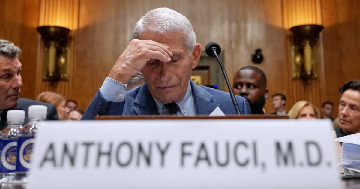 The subpoenas followed the release of Dr Anthony Fauci's personal diaries by Senator Rand Paul, which investigators said showed Fauci's interest in awards, public recognition and professional opportunities during the pandemic (AP Photo/Allison Robbert)