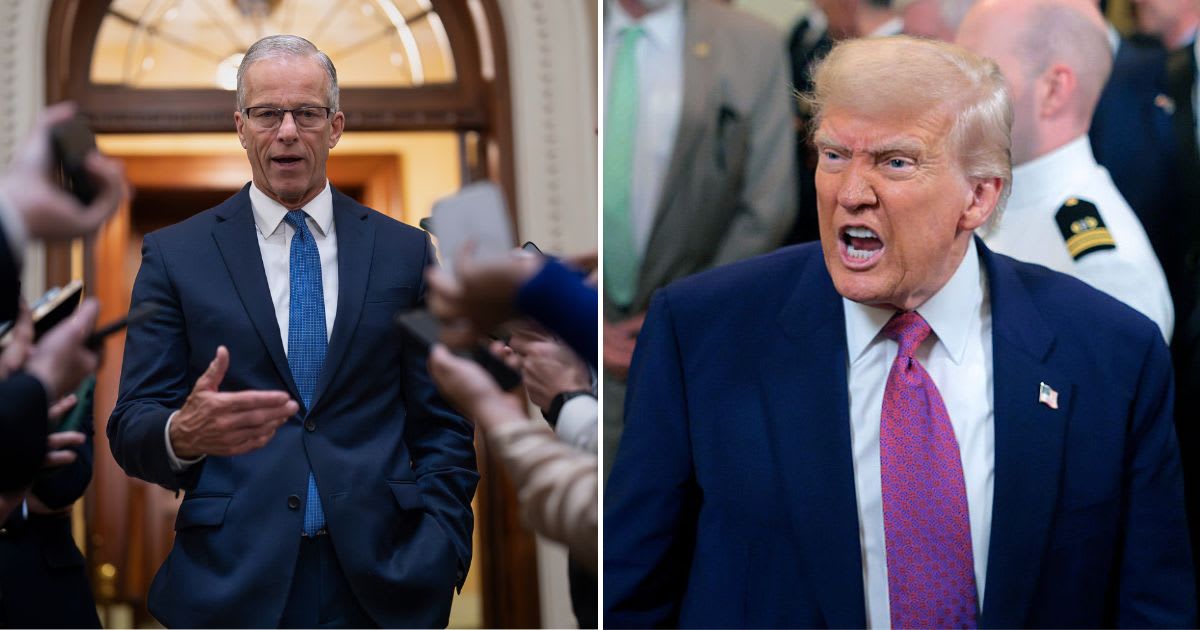 President Donald Trump said he got along with Majority Leader John Thune but was frustrated the Senate leader couldn't secure enough votes to pass the legislation (AP, Getty Images)