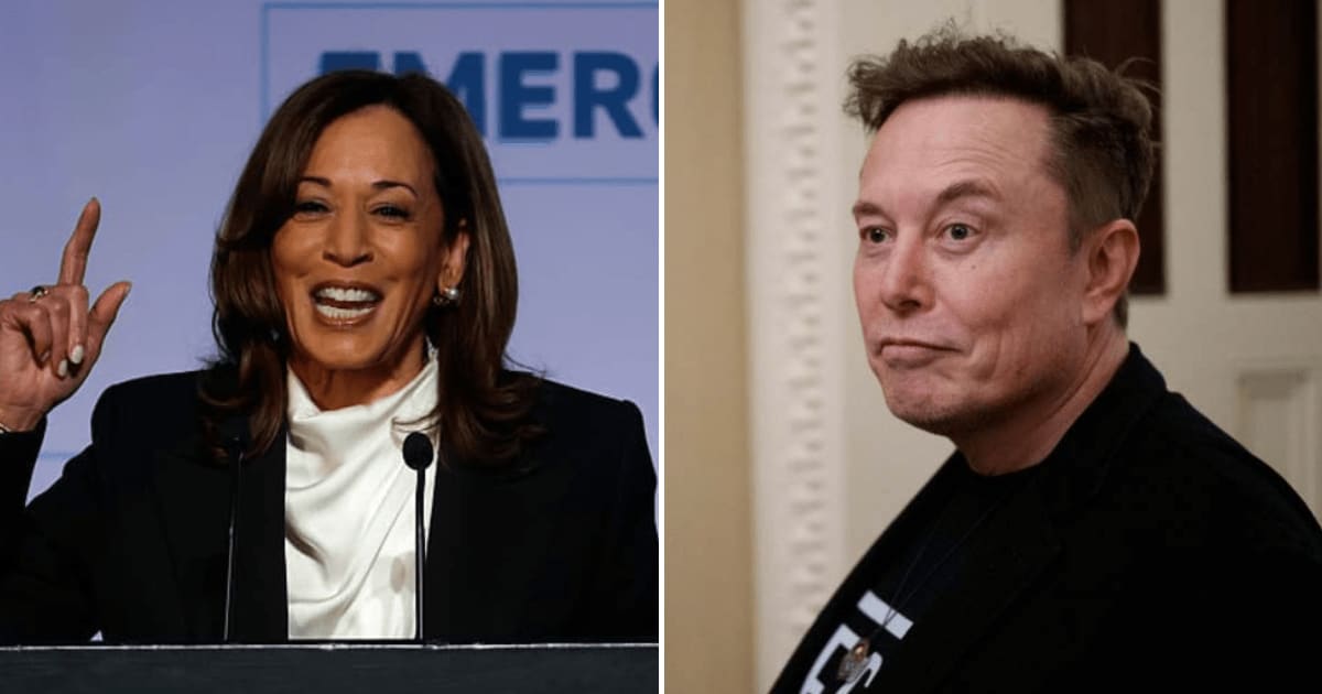  Elon Musk reportedly filed a $100 million defamation lawsuit against Kamala Harris  (Getty Images)