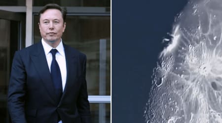 Fact Check: Does the viral video show Elon Musk's Falcon 9 crashing into the moon?