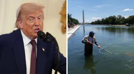 Trump alleges NPS employee saw former Olympian ‘violently’ rip Reflecting Pool lining