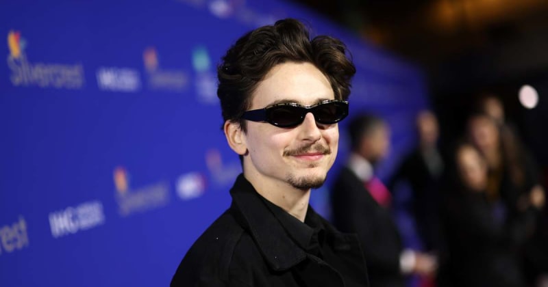 Fact Check: Is Timothee Chalamet playing the new Iron Man in 'Avengers: Secret Wars'?
