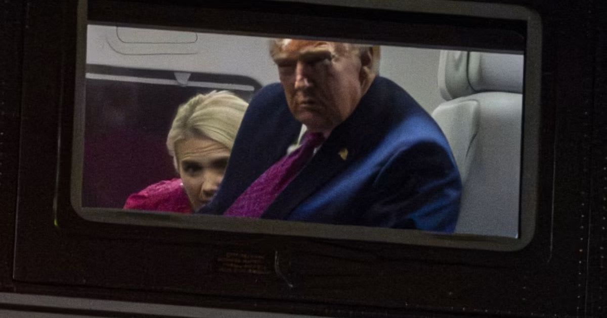 A photograph showed Trump and Harp aboard Marine One during a flight from the White House South Lawn in April 2026 (Getty Images)
