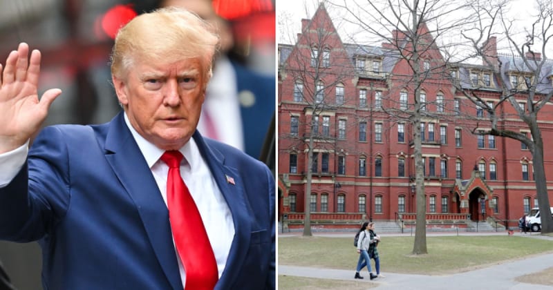 ‘Predetermined outcomes’: Trump admin accused of politicizing Ivy League antisemitism probes