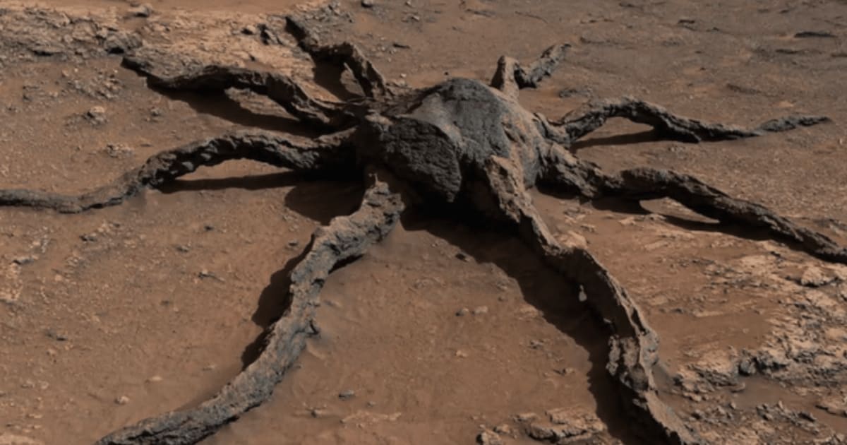 An image began circulating online that supposedly showed a spider-shaped rock formation on Mars (@spacejourney/Facebook)