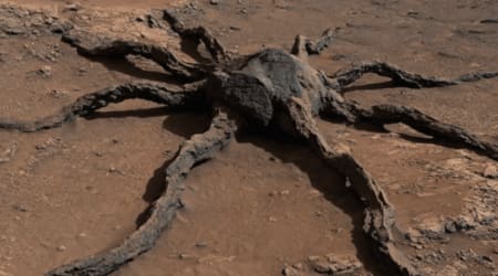 Fact Check: Does this image show a creepy 'spider' on Mars?