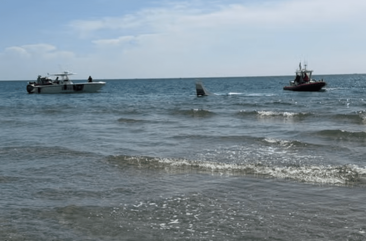 The tail of the private plane flown by Faith Tenkley sticks out of the Atlantic Ocean near Boca Raton, Florida (Boca Raton Police Services Deparment)