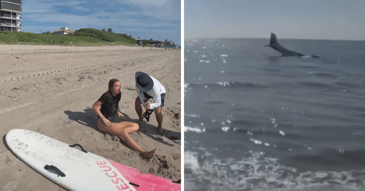 Boca Raton witness Craig Sutton captured Faith Tenkley’s plane making an emergency landing in the Atlantic after mechanical failures (@SCHDETF/X)