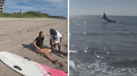 'I thought she was a passenger': Witness recalls Faith Tenkley calmly walking ashore after ocean landing