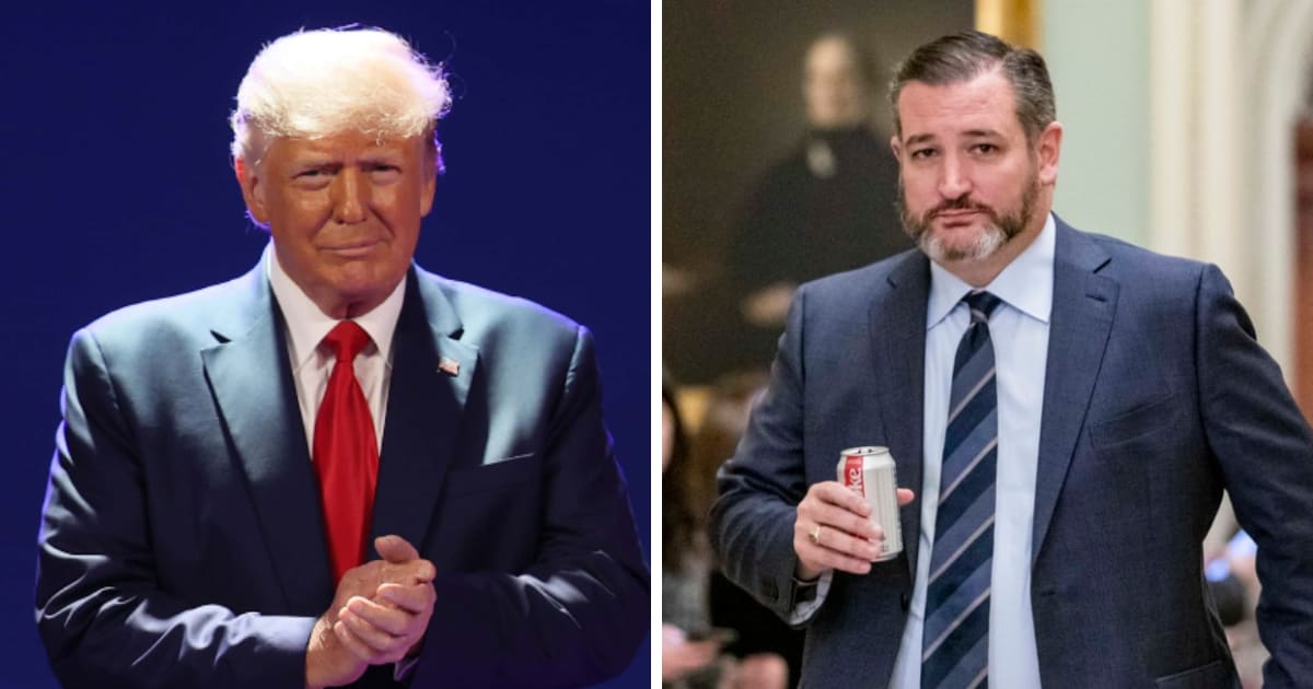 President Donald Trump gave Ted Cruz an unusually warm endorsement, saying he could succeed if he decided to run despite their bitter 2016 primary rivalry (Getty Images)