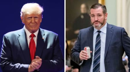 'A very good friend': Trump's surprising take on Ted Cruz's 2028 plans