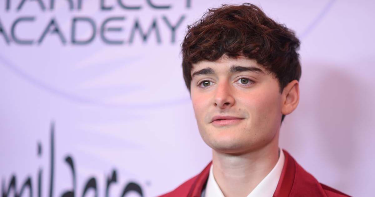 A viral social media post claims Noah Schnapp has been cast as Robin in 'The Batman Part II' (Richard Shotwell/Invision/AP)