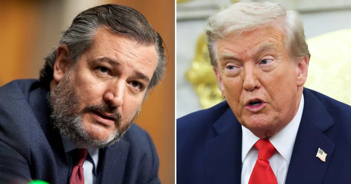 Senator Ted Cruz said that active combat military operations in Iran have 'largely ceased' but that there 'are occasional skirmishes' (Getty Images)