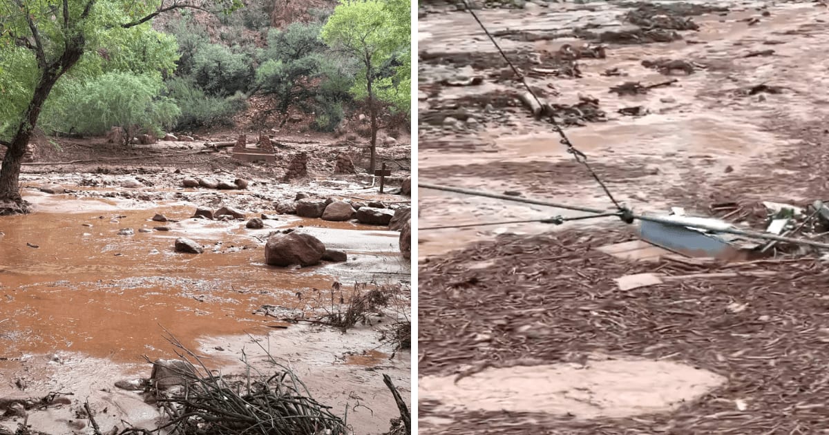 Images and videos show the destruction caused by a powerful flash flood that began at around 2.30 pm on Saturday, August 29, in Bright Angel Creek, which flows into the Colorado River (AP Photo, @mattvanswol/X)
