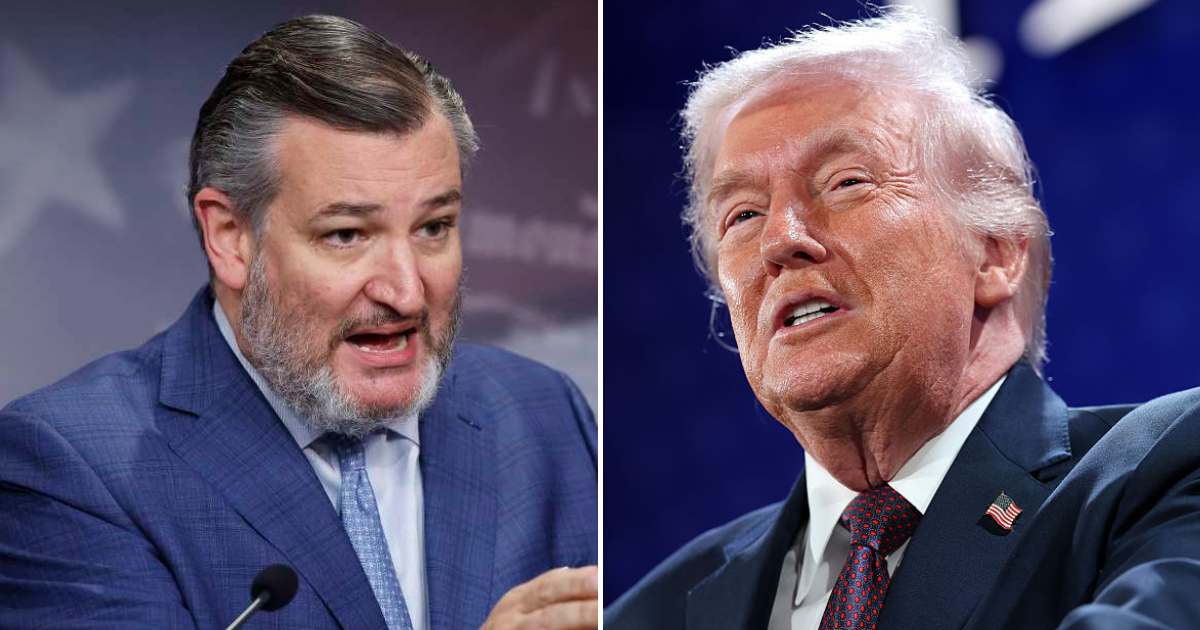 During an appearance on the Hang Out podcast with Sean Hannity, Ted Cruz told the host that he had no hard feelings about President Donald Trump (Getty Images, Win McNamee/Getty Images)