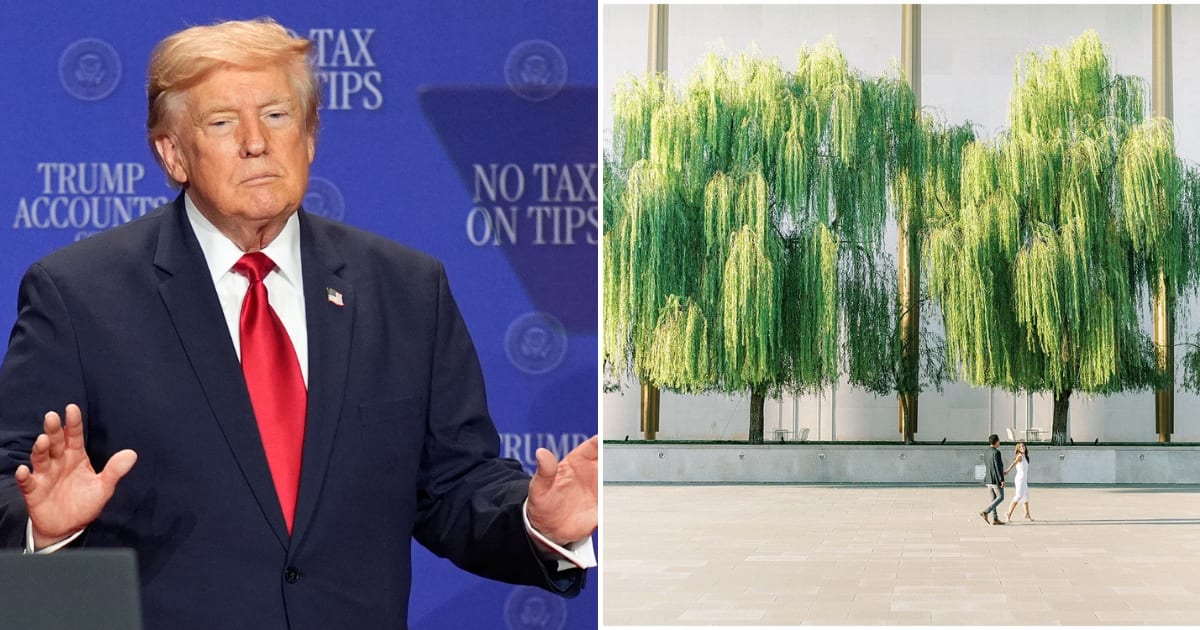 Trump allegedly cut down willow trees outside the Kennedy Center (@AP Photo, @Adam Parkhomenko/X)