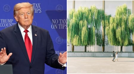 Fact Check: Did Trump order the destruction of Kennedy Center’s iconic weeping willows?