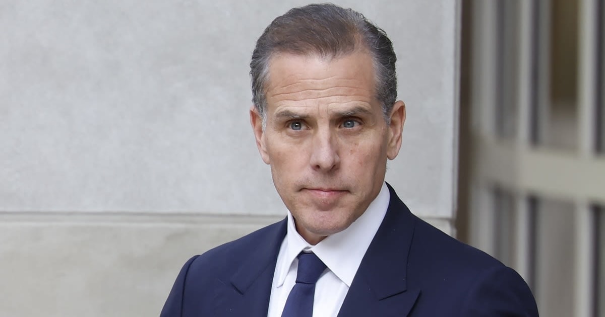 Hunter Biden joked about being '48.6 percent gay' and discussed his sexuality during a candid podcast interview with Luke Beasley (Getty Images)