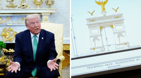 'Needs to step in': Trump's 250-foot arch faces a crucial test before work begins