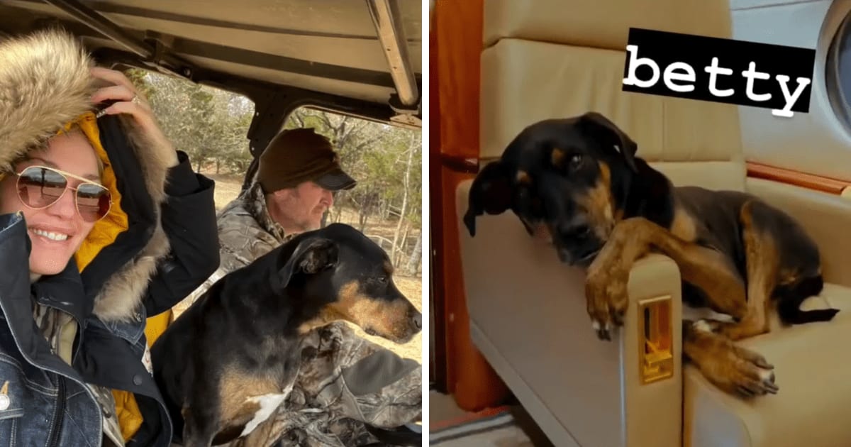 Gwen Stefani announced the death of her and Blake Shelton's beloved dog, Betty, through an Instagram post on Saturday, September 5 (Screengrab/@gwenstefani/Instagram)