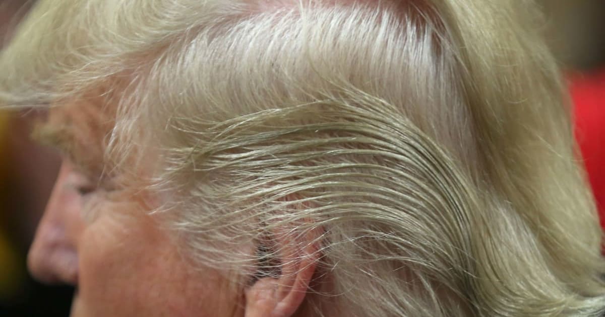Donald Trump's famous blond hair took a surprising turn as the president arrived with a new look on Friday, September 4 (Getty Images)