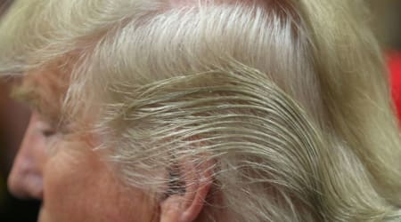 Trump's famous blond hair takes a surprising turn as he sports 'almost-brunette' locks