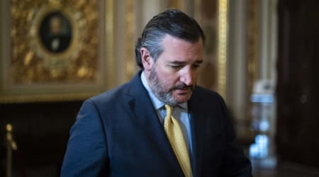 'Please stay off': Trump adviser publicly begs Cruz as TV appearance ends in boos from audience