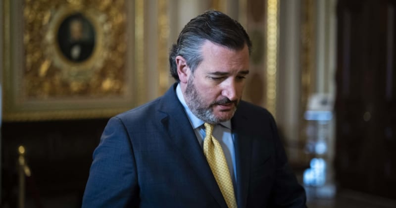 'Please stay off': Trump adviser publicly begs Cruz as TV appearance ends in boos from audience