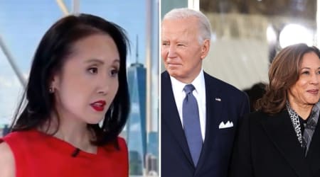 Ex-Dem insider says Kamala Harris was positioning to poach Joe Biden’s donors before exit