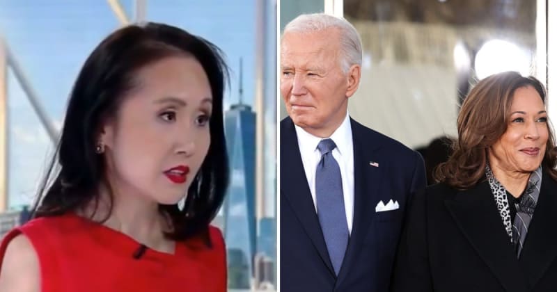 Ex-Dem insider says Kamala Harris was positioning to poach Joe Biden’s donors before exit