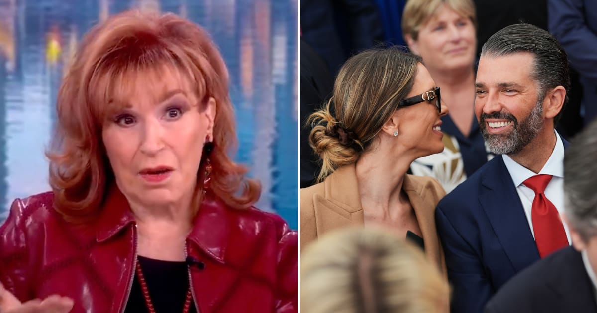 Joy Behar joked about Umar Kremlev’s generosity, while Sara Haines called the wedding funding 'absolutely a bad look' (@TheView, AP Photo/Julia Demaree Nikhinson)