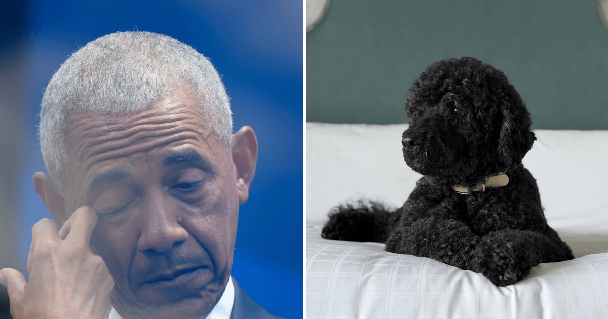 Former President Barack Obama announced the death of Sunny, his Portuguese Water Dog, after 13 years with the family (AP Photos, @BarackObama/X)
