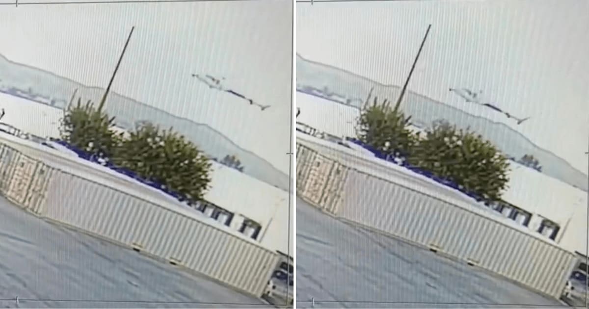 Footage obtained by NBCLA shows the Airbus helicopter suddenly dropping before a building blocks the view of the impact (@copterpilotla/X)