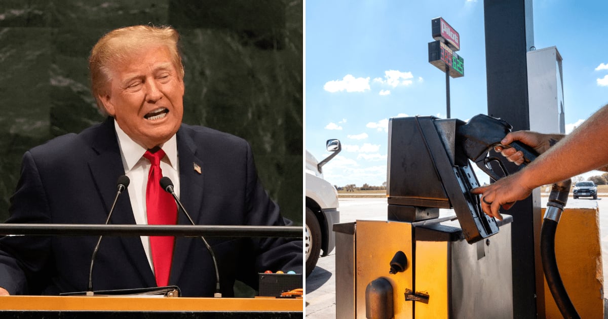 President Donald Trump said that he supports the idea of banning US diesel exports as the administration looks for ways to address soaring energy costs (AP Photos, Getty Images)