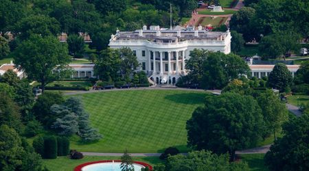 White House app rises to No 1 after Trump TV launch as CNN, MS NOW and Politico ban continues