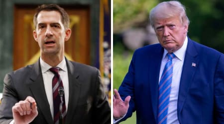 Trump turns Tom Cotton into GOP roadblock and demands Arkansas senator deliver 'win'