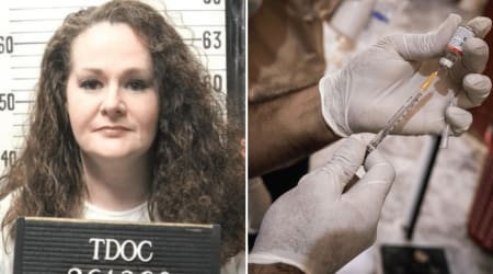 Christa Pike execution fallout grows as former US attorney named to lead probe