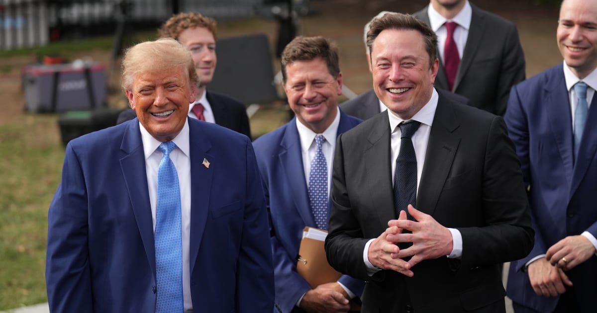 A social media post claims President Donald Trump reportedly thanked Elon Musk for making every Republican vote count as three (AP Photo/Jacquelyn Martin)