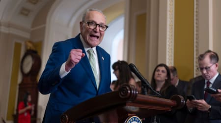 Fact Check: Did Chuck Schumer say 'our goal is to give citizenship to immigrants'?