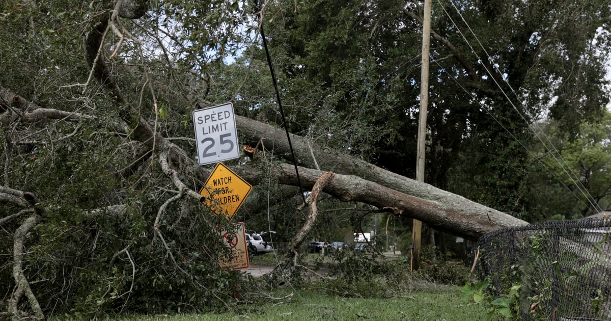 A tree rests in a power line after it fell when Hurricane Isaias passed through the area on October 10, 2026, in Fort Walton Beach, Florida (Getty Images)