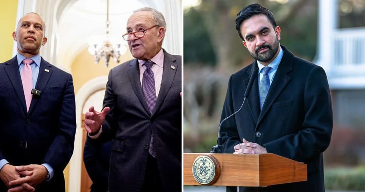 Zohran Mamdani faced criticism from Dan Goldman and Jewish and pro-Palestinian groups over his October 7 remarks and stance on Israel (Getty Images)